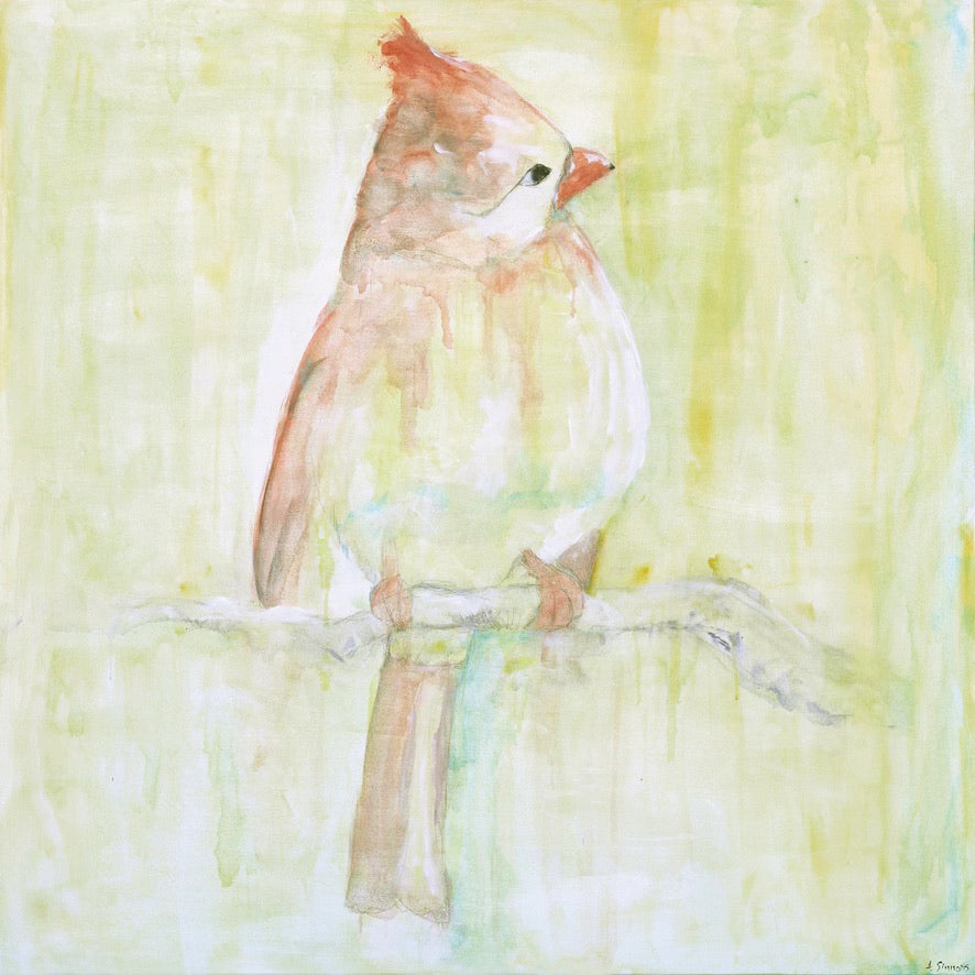 Female Cardinal
