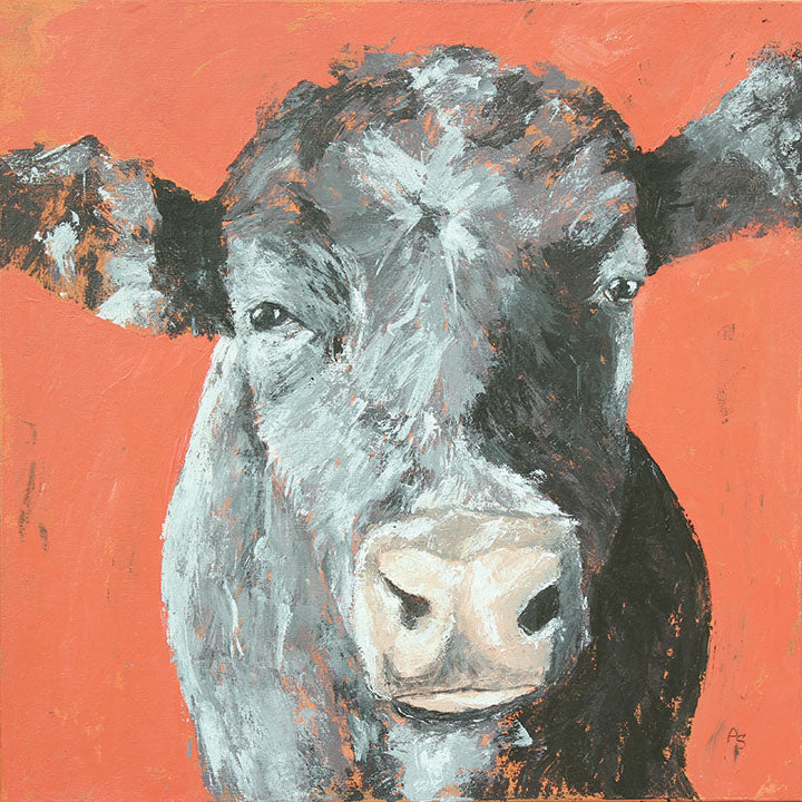 Blue, White, Red Cows