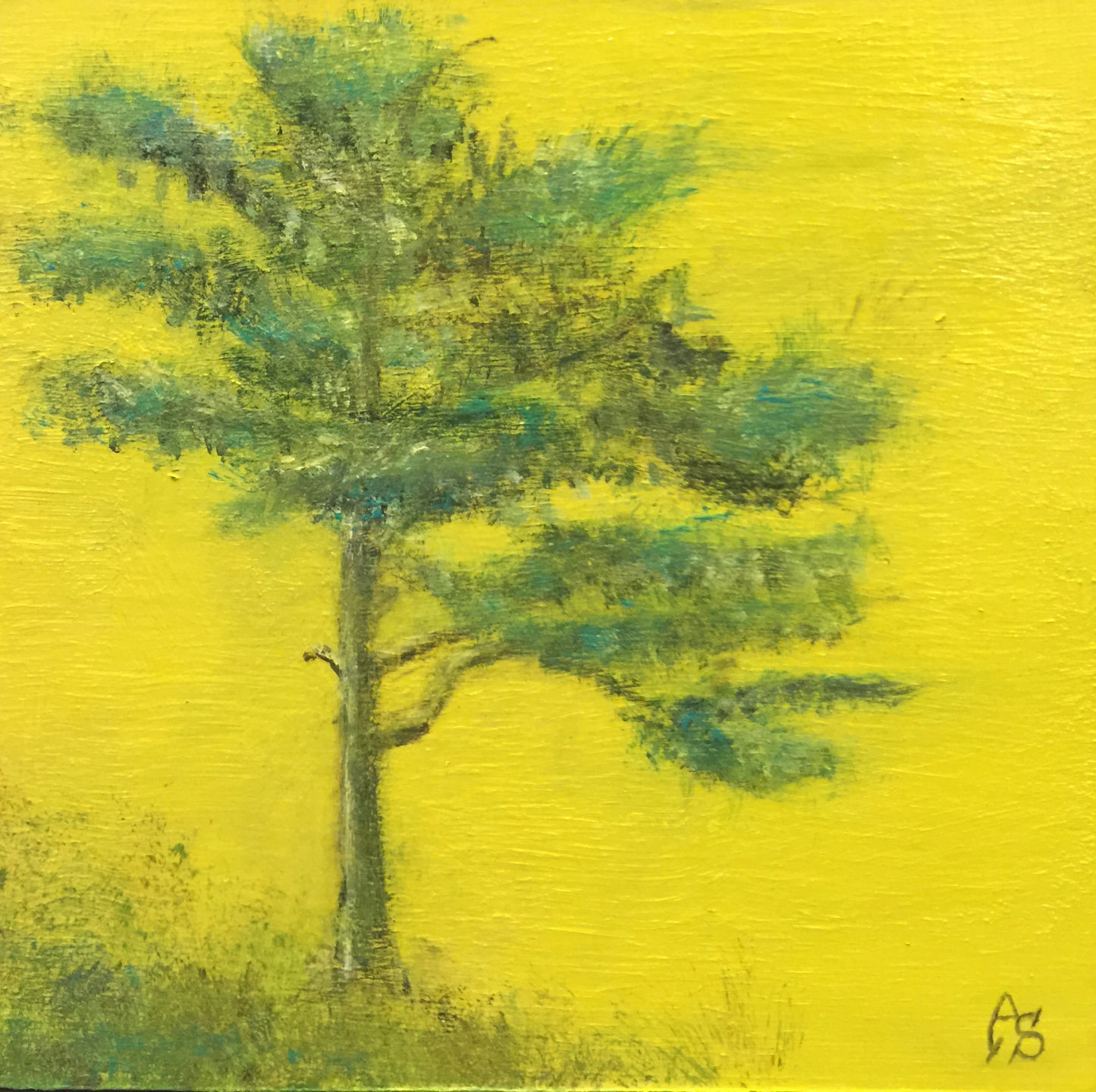 Set of Trees